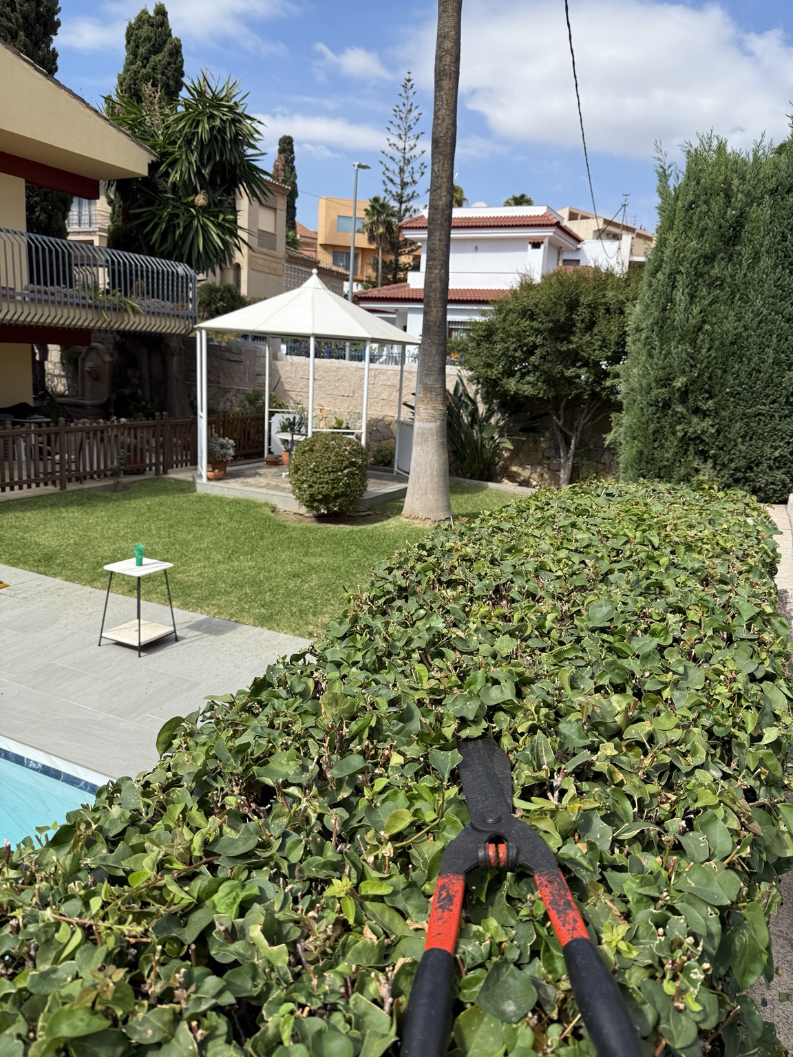 Poda de un seto junto al jardín y la piscina de una vivienda